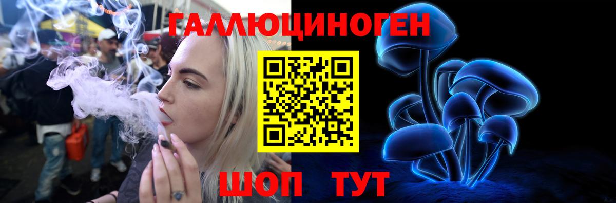 Галлюциногенные грибы Psilocybe Серов