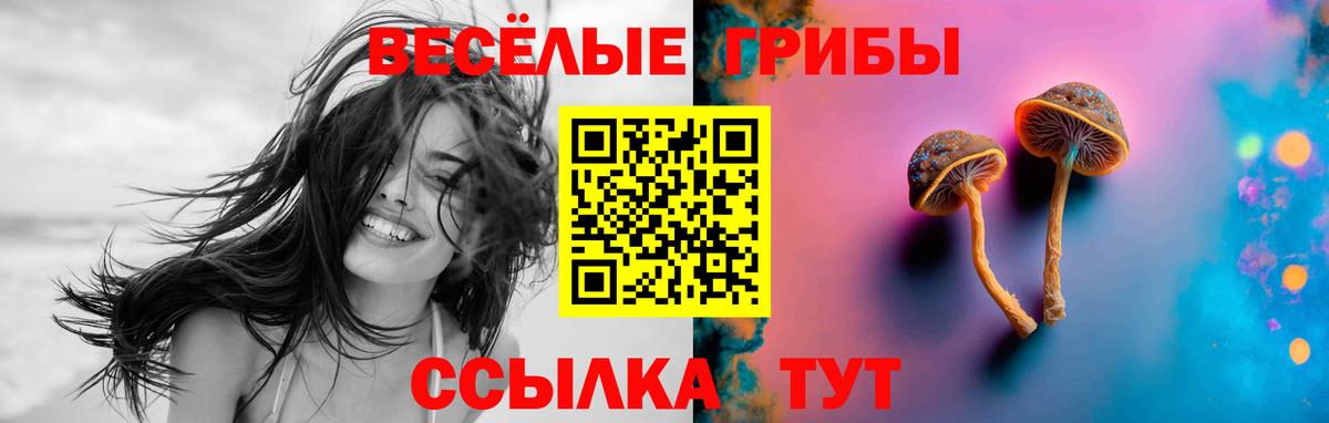 Серов  Псилоцибиновые грибы прущие грибы  Вход с VPN 